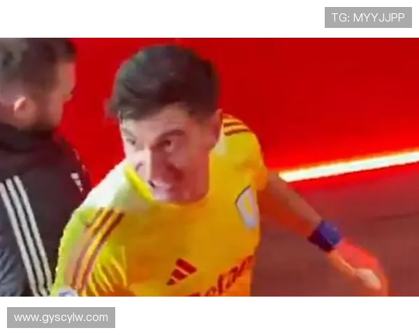 半场阿森纳21马丁内斯内尔高