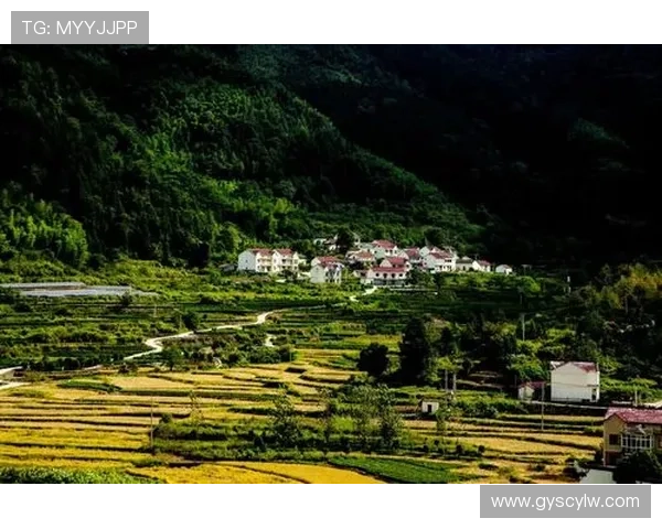 鲁本：压力与冒险塑造我的梦想潜力